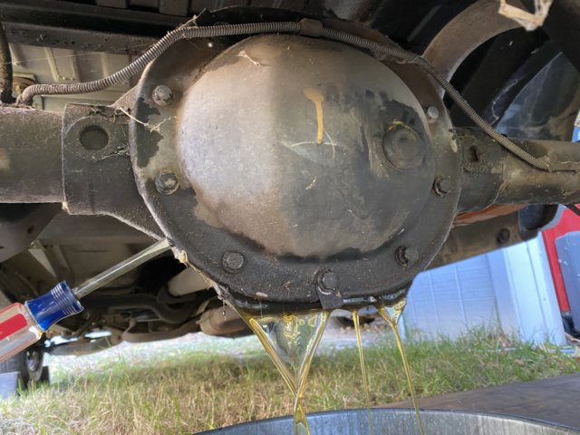 ram08916.jpg