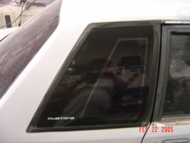 mustang01867.jpg
