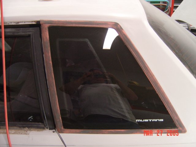 mustang02234.jpg