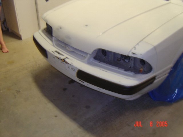 mustang02371.jpg