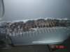 dmgtrk06564_small.jpg